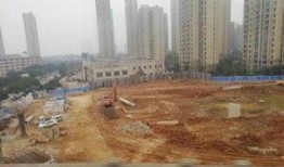 武汉江夏最新爆料,揭秘武汉江夏区最新动态与热点事件