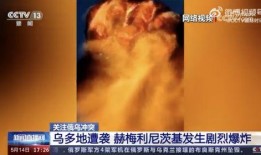 乌克兰内部爆料新闻视频,揭秘真相与内幕